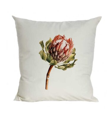 Scatter Cushion Cover: SCC10 King Protea