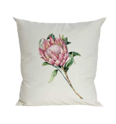 Scatter Cushion Cover: SCC09 Protea