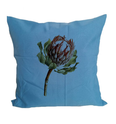 Scatter Cushion Cover: SCC10 King Protea - Light Blue