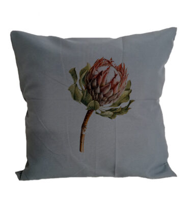 Scatter Cushion Cover: SCC10 King Protea - Gray